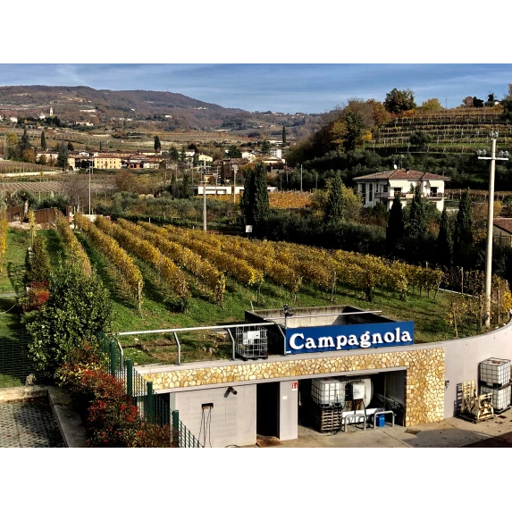 Amarone della Valpolicella DOCG Classico 15% Campagnola