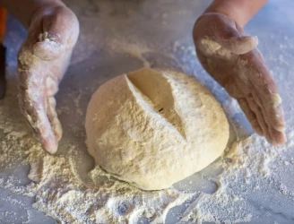 Nouveautés et derniers arrivages