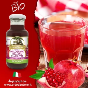 Nectar de Grenade Biologique 70% de fruits