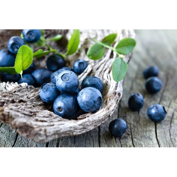 Marmelade Bio de Myrtilles Italiennes Orto d’Autore