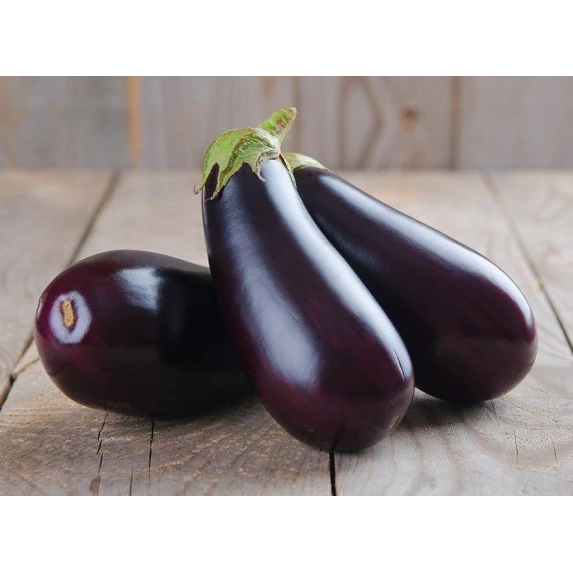 Aubergines Grillées Italiennes Orto d’Autore