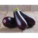 Aubergines Grillées Italiennes Orto d’Autore