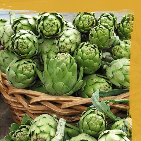 Artichauts Tiges Italiens Orto d’Autore