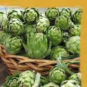 Artichauts Tiges Italiens Orto d’Autore