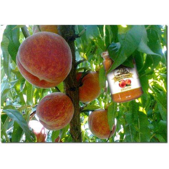 Marmelade Bio de Pêches Italiennes Orto D’Autore