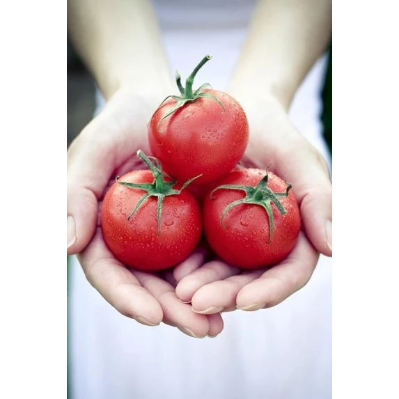 Passata Classica di Pomodoro Orto d’Autore