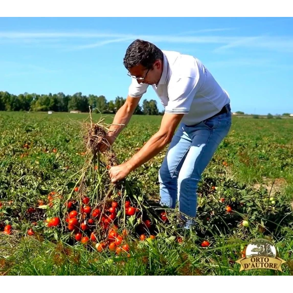 Passata Rustica di Datterini Italiani Orto d’Autore