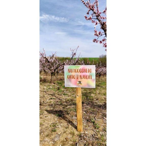 Marmelade Bio d’Abricots Italiens Orto d’Autore