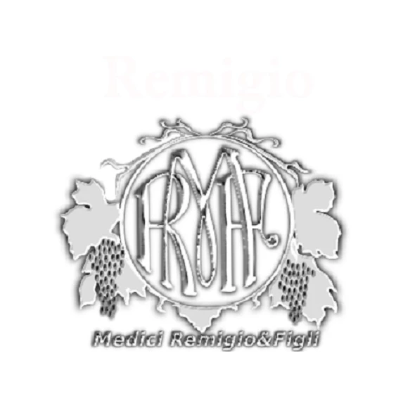 Lambrusco Grasparossa DOC Rosso "Remigio 100"  11° - 75 cl