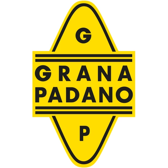 Monodoses de Grana Padano D.O.P Râpé 200 sachets de 5gr Colis de 1 kg 2X500GR