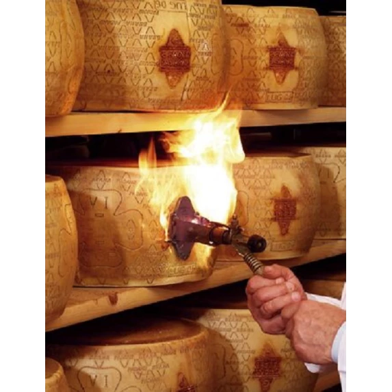 Meule de Grana Padano 16 Mois 33%MG