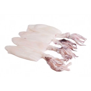 Calamars Entiers Nettoyés de Patagonie IQF 10/13cm
