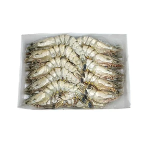 Gambas Crues Black Tiger IQF 16/20
