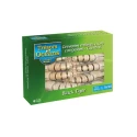 Crevettes Crues Gambas Black Tiger IQF de Calibre 6/8  800gr