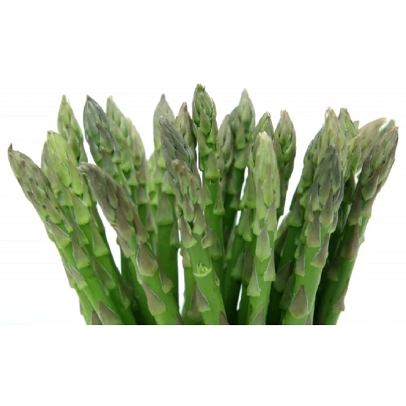 Tortelli aux Asperges IQF Surgital 3 kg