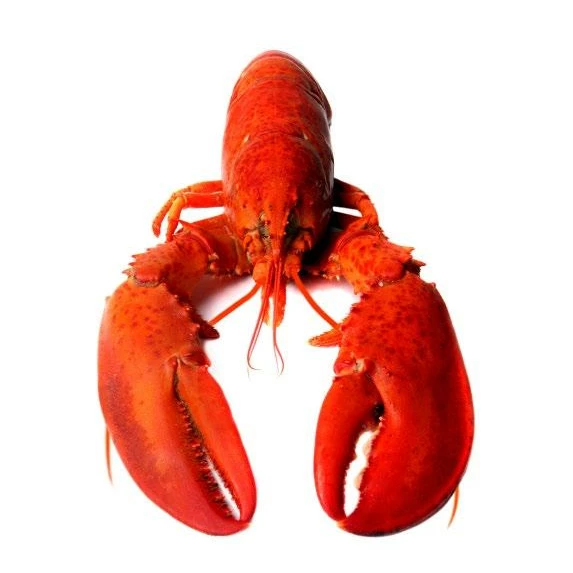 Bauletti Farcis au Homard IQF 2KG