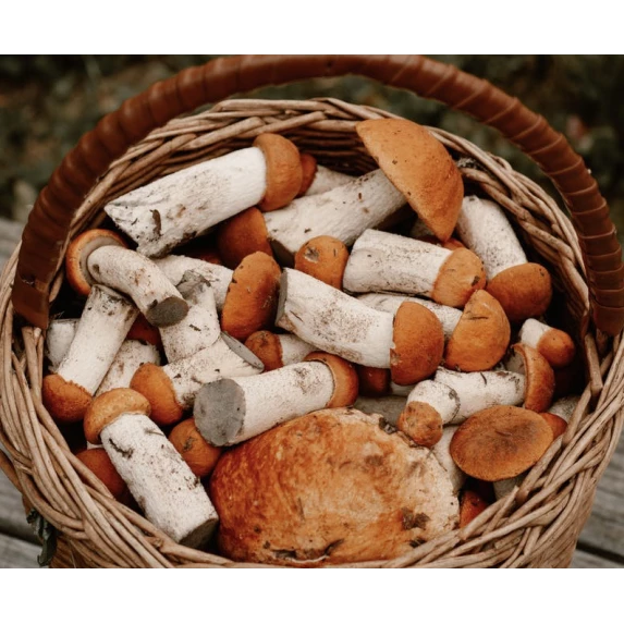 Panzerotti Funghi Porcini IQF 3KG