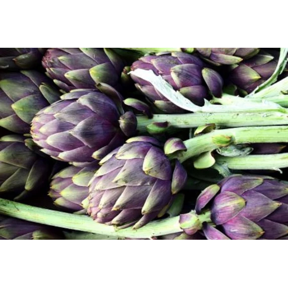 Raviolacci aux Artichauts IQF 3kg