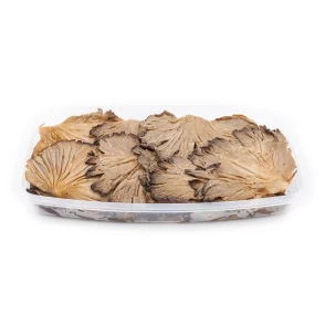 Pleurotes Grillés Renna Seau de 2 kg