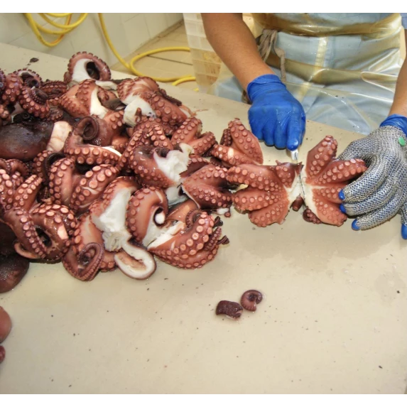 Salade de Poulpes “Gran Mare” Renna 2KG