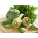 Artichauts à la Romaine avec les Tiges Renna 2kg