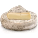 Saint-Nectaire Laitier AOP 1,6 kg Fromagerie Wälchli