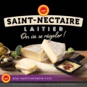 Saint-Nectaire Laitier AOP 1,6 kg Fromagerie Wälchli