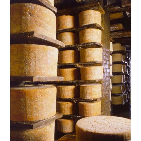 Gorgonzola D.O.P. Novarese  "L'angelo" 1/8 45%MG