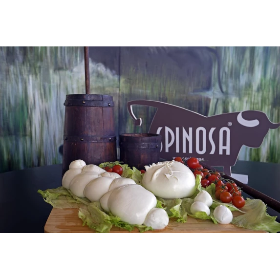 Treccione de Mozzarella di Bufala DOP Spinosa 2 kg