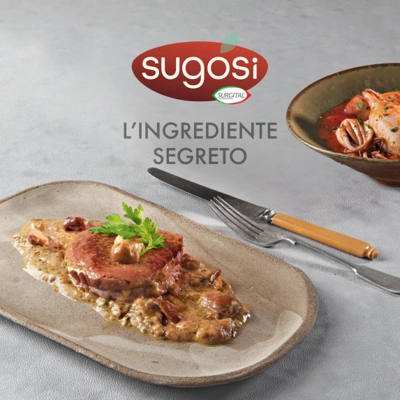 Sauce aux Cèpes en Galets IQF Sachet 500gr