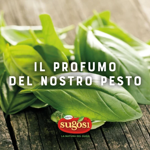 Sauce Pesto Genovese en Galets 500GR IQF