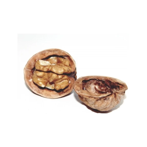 Sauce aux Noix Demetra Bocal 580ml