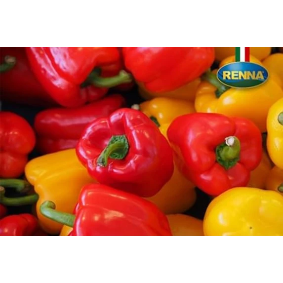 Filets de Poivrons au Vinaigre Balsamique di Modena IGP seau de 2 kg