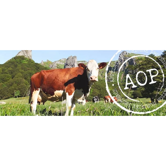 Bloc de Cantal AOP Entre-Deux 1/32