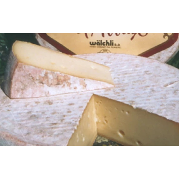 Saint-Nectaire Laitier AOP 1,6 kg Fromagerie Wälchli