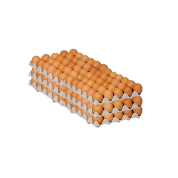 180 Gros Œufs de Plein-Air Calibre 63/73