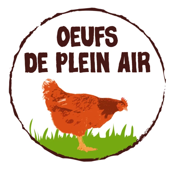 180 Gros Œufs de Plein-Air Calibre 63/73