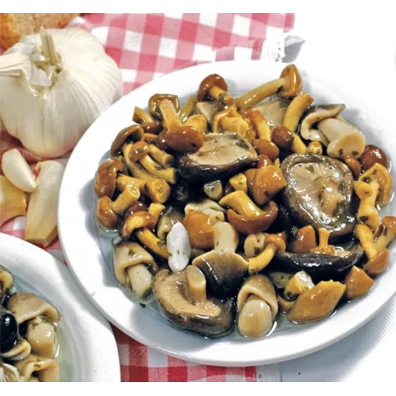 Mélange Tris de Champignons des Bois Bocal 3,100kg