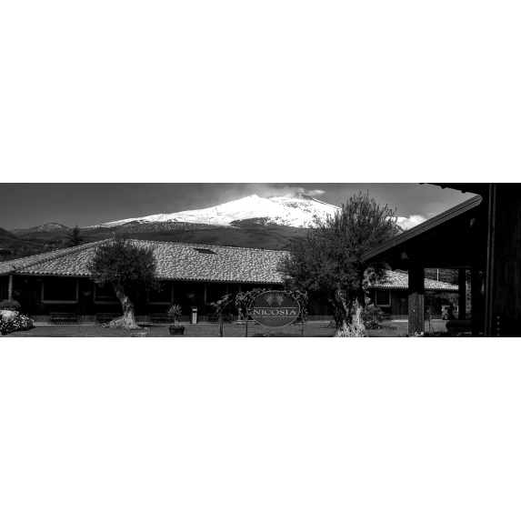 Etna Bianco DOC Lenza di Munti 720m 12,5% Nicosia