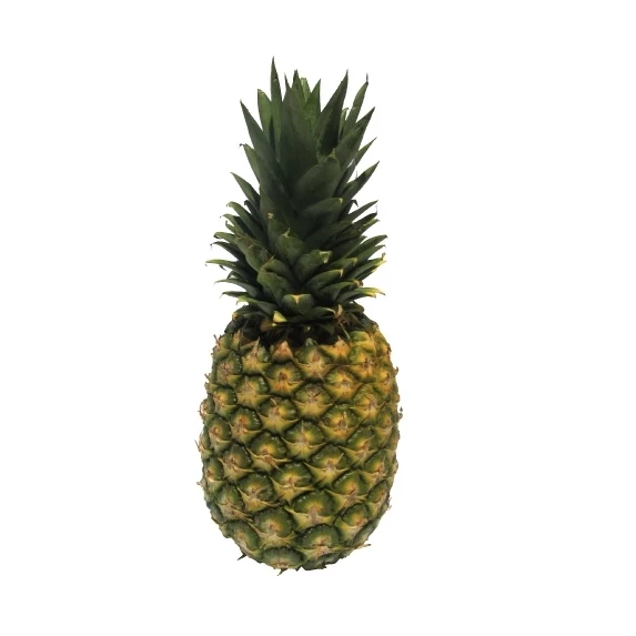 Tranches d’Ananas en Conserve 4/4