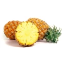 Tranches d’Ananas en Conserve 4/4