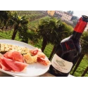 Lambrusco Semisecco Rosso Terra Calda IGT 11.5% - 75cl