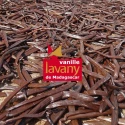 Gousses de Vanille Bourbon de Madagascar Noires & Naturelles 250 g - S/V
