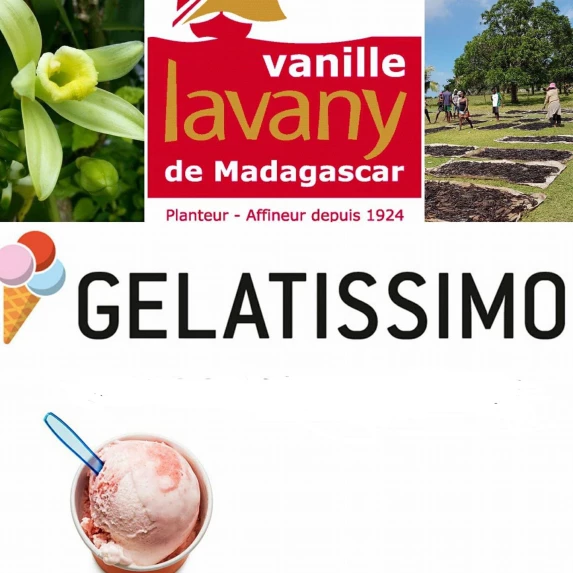 Gousses de Vanille Bourbon de Madagascar Noires & Naturelles 250 g - S/V