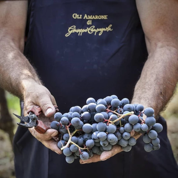 Amarone della Valpolicella DOCG Classico 15% Campagnola