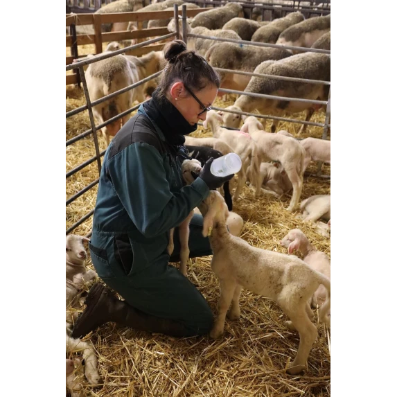 Demi-Roquefort AOP Grancœur