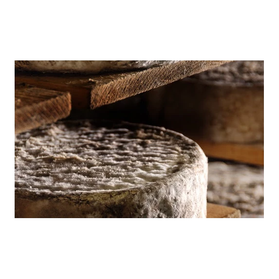 Tomme de Savoie IGP au Lait Cru 45% MG