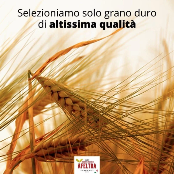 Fusilli Tortiglioni Bio Integrale Pasta Di Gragnano IGP 12 x 500 g