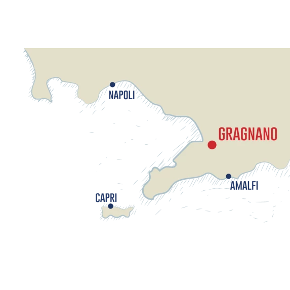 Penne Rigate N°42  Pasta di Gragnano IGP Liguori 16 x 500 g