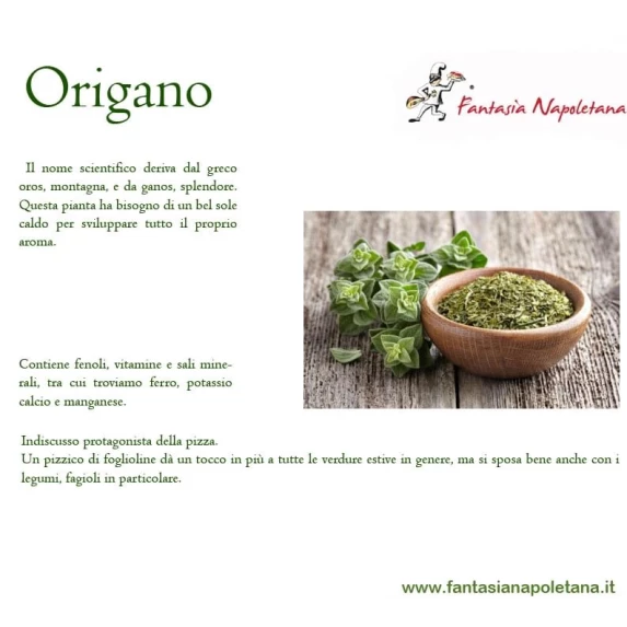 Branches de 40 g d'Origano Italiano Fantasia Napoletana